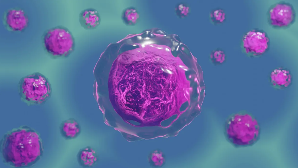 «کوله بار» نانوذرات، سلول‌های بنیادی آسیب دیده را بازیابی می‌کند